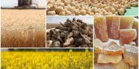 سهم ایران از بازار ۱۴۰ میلیون نفری روسیه چقدر است؟
