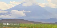 ۲۱ میلیون اصله نهال در جلفا