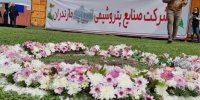موافقتنامه احداث پتروشیمی میانکاله باطل شد