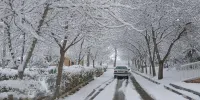 تصاویر زیبا و دل انگیز از بارش اولین برف پاییزی در اهر