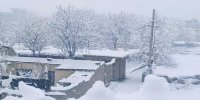 ماجرای عجیب بارش برف در بندر عباس | تصاویر
