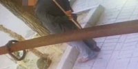 تصاویر دوربین مداربسته از لحظه تلخ حیوان‌آزاری در اردبیل | حیوان آزار سالمند دستگیر شد