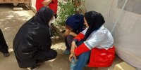 تیم های بحران اجتماعی را ایجاد می کنیم| اعلام آمادگی رئیس جدید  سازمان روانشناسی کشور برای همکاری با هلال احمر در زمان بحران