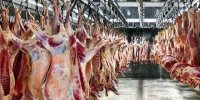 جدیدترین قیمت گوشت گوسفندی در بازار | هر کیلو شقه گوسفندی چند شد؟
