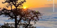 غرق در ابرهای ارتفاعات مازندران +عکس