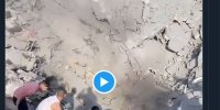 از خاکستر "جبالیا" هم مثل صبرا و شتیلا ققنوس بر می‌خیزد + (فیلم)