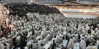  آیا صهیونیست‌های اشغالگر از نسل بنی اسرائیل‌اند؟