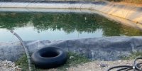 پرونده کودکان غرق شده در بوستان زیتون منطقه ۲۱ به کجا رسید؟