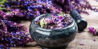 گیاهی که برای افزایش حافظه معجزه می‌کند