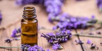 معجزه این گیاه برای تسکین درد