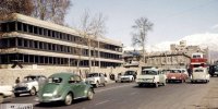 میمون فراری پای پلیس را به مجلس باز کرد! / عکس