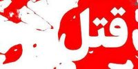 قاتلان سیاوش به پارک نهج‌البلاغه برگشتند/ عکس