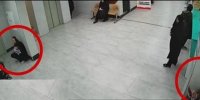 واکنش یک جامعه شناس به‌درگیری مادر قمی و یک روحانی در مرکز درمانی
