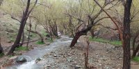 شیرخشت گیری در گل تنگه حصارک