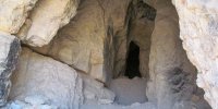 پلنگ فیروزکوه، تماشایی و هیجان‌انگیز