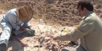 اولین تصاویر از یک کشف بسیار مهم در سایت آهق ایران