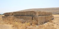فاجعه در شیراز ؛ گیاهان هرز به جان اثر تاریخی دوران هخامنشی افتادند + تصاویر