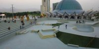 شکم چرانی میان سبزه و گل!