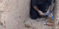 اعلام جزئیات یک کشف مهم در تخت جمشید | تاریخ تخت جمشید پس از ویرانی حملات اسکندر مقدونی روشن تر می شود؟
