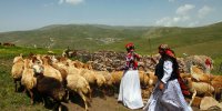 رونق گردشگری عشایری در تهران