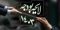 بررسی و تصویب لایحه بودجه ۱۴۰۳ به ۱۴۰۳ موکول شد!