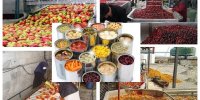 بهره‌برداری از یک واحد صنایع تبدیلی و غذایی در شوشتر