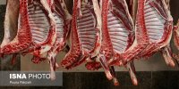 قیمت دام زنده منطقی می‌شود؟ / تعادل در بازار گوشت