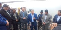 برنامه‌ریزی برای توزیع ۳۰۰ هزار تن نهاده دامی میان عشایر در سال جاری