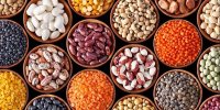 افزایش ۳۰ تا ۵۰ درصدی قیمت جهانی حبوبات/ واسطه‌ها بازار را بهم می‌ریزند