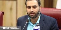 مشاغل خانگی در دولت سیزدهم از گوشه رینگ درآمد