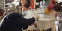 آخرین آمار بیمه‌شدگان قالیباف در کشور