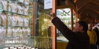 بررسی وضعیت بازار در یک هفته گذشته/ قیمت‌ سکه و طلا از مسیر کاهشی دور زد