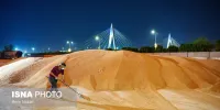 افزایش ۱۶ درصدی خرید تضمینی گندم/ میزان خرید تضمینی گندم به ۱۱.۹۴۲ میلیون تن رسید