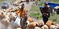 مسیرشکافی و اصلاح جاده عشایری اسفندیاری دزفول