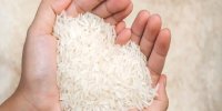 توجه دولت به مطالبات جامعه؛ ساماندهی بازار برنج در دستور کار