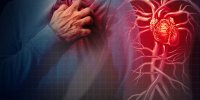 ببینید | ویدیویی تاثیرگذار از داخل بدن در لحظه رخ دادن حمله قلبی بر اثر ترس!
