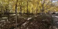 تصاویر | پاییز رنگارنگ در روستاهای اطراف شهرستان فیروزکوه