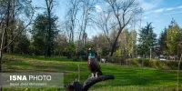 طبیعت پایتخت در دل محبوب‌ترین و قدیمی‌ترین بوستان‌های تهران