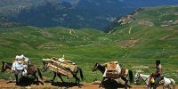 هشدار به عشایر استان تهران برای انتحاب مسیر کوچ/ از بزرگراه‌ها تردد نکنید