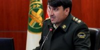 نگه‌دارندگان توله شیرها در منازل مسکونی، شناسایی و احضار شدند