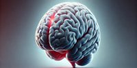 ضربه مغزی چیست و چه علائمی دارد؟
