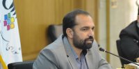 عضو شورای شهر تهران: درختان بیمار را حذف کردیم، سه برابر آن نهال کاشتیم