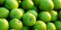 خواص و مضرات عجیب گوجه سبز برای بدن