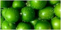 خوردن گوجه سبز زیادی این بلاها را سرمان می آورد