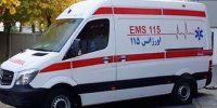 آماده باش کامل اورژانس برای اربعین/ تست های سریع برای تشخیص تب دنگی
