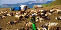 سهم پررنگ عشایر در رونق اقتصاد ایران