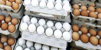 رابطه مصرف تخم‌مرغ و خطر مرگ ناشی از بیماری‌های قلبی-عروقی