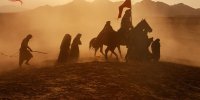 یک آمار رسمی درباره مخاطبان «شور عاشقی»