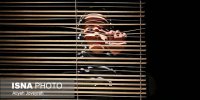 اجرای نمایش‌های صحنه‌ای و خیابانی جشنواره تئاتر استان آغاز شد