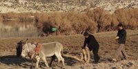 تقدیر از مستند ایرانی در جشنواره ویزانتروپ
